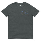 SKEPTIKWORLD MEN'S VIRGO CONSTELLATION T-SHIRT (AUG 23 SEP 22)